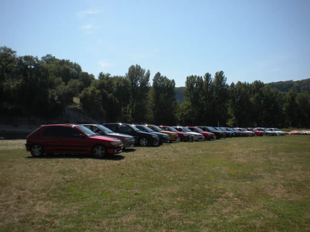 306 in field